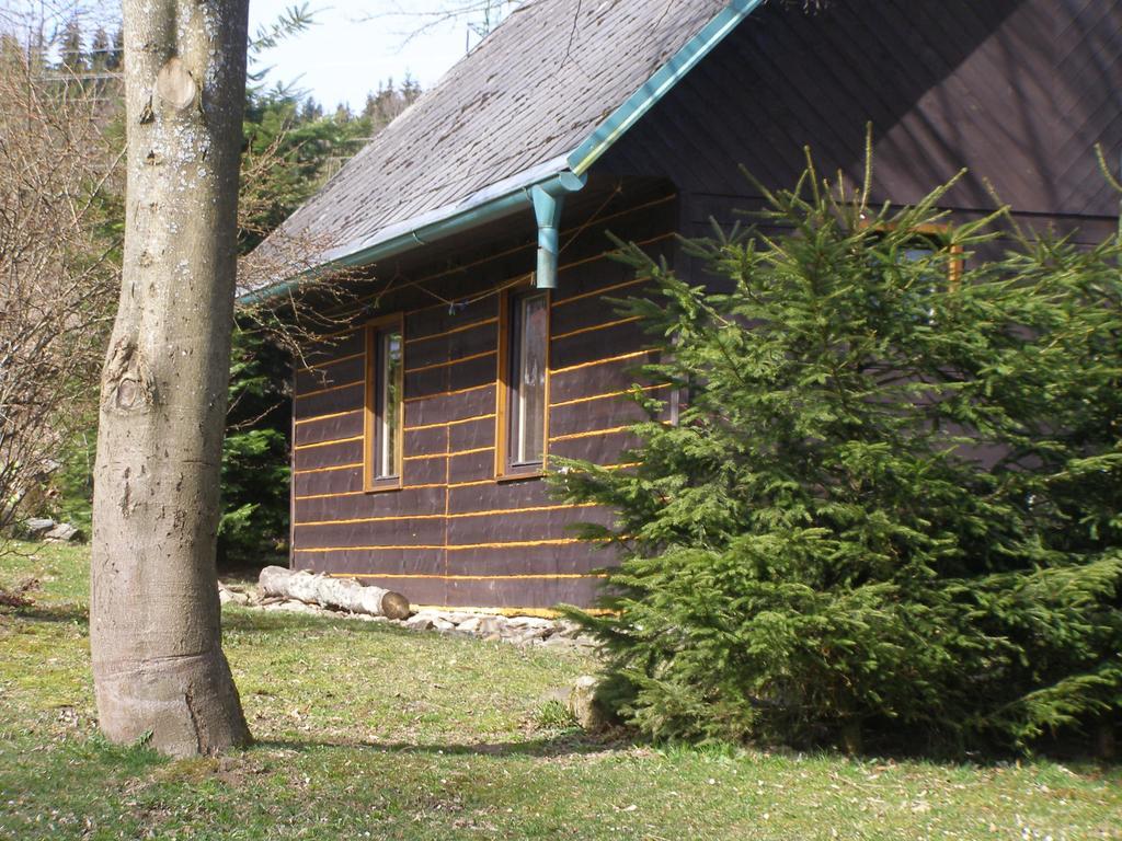 Chata Dvorecna Villa Loucovice Ngoại thất bức ảnh